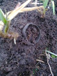 post-17557-0-52007000-1389032452_thumb.j