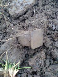 post-17557-0-54691700-1389032441_thumb.j