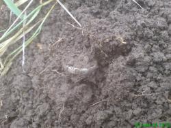 post-17557-0-67020300-1388839936_thumb.j