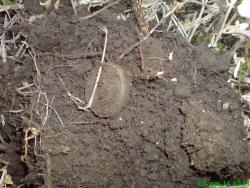 post-17557-0-69569200-1388839872_thumb.j