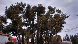 post-19230-0-09966000-1390209206_thumb.j