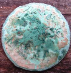 post-23552-0-48773300-1389273054_thumb.j