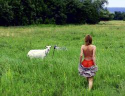 post-24709-0-01579800-1390752727_thumb.j