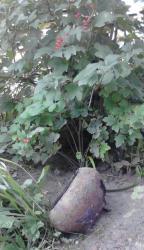 post-24709-0-14138900-1389858871_thumb.j