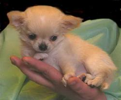 post-24709-0-46243700-1388562968_thumb.j