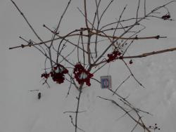 post-24709-0-49889500-1389861942_thumb.j