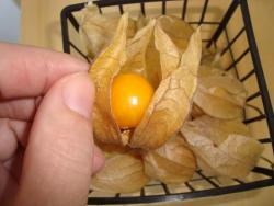 post-24709-0-93311900-1390210769_thumb.j