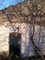 post-26329-0-98447400-1388930936_thumb.j