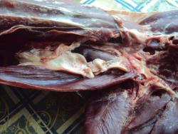 post-26389-0-22654200-1389357023_thumb.j