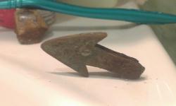 post-26806-0-36722300-1389268966_thumb.j