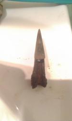 post-26806-0-57898300-1389269086_thumb.j