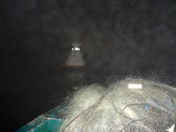 post-27646-0-14789700-1389528287_thumb.j