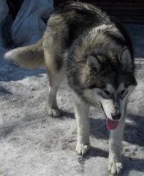 post-27646-0-28749500-1389778108_thumb.j