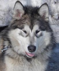 post-27646-0-30295400-1389778194_thumb.j