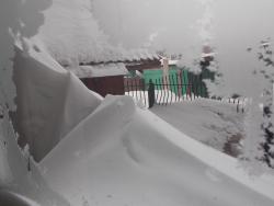 post-27646-0-41095300-1390457671_thumb.j