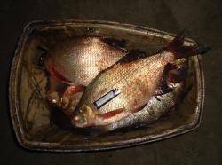 post-27646-0-83847000-1389528311_thumb.j