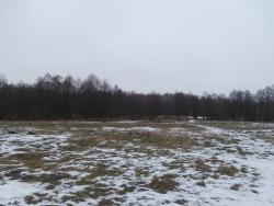 post-27675-0-03540600-1388652474_thumb.j