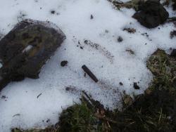 post-27675-0-23001400-1388652469_thumb.j