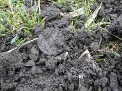 post-27675-0-30011500-1389524612_thumb.j