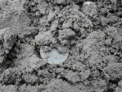 post-27675-0-63114300-1389093540_thumb.j