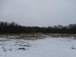 post-27675-0-84980100-1388652480_thumb.j