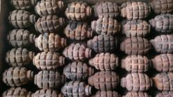 post-2838-0-69248000-1390463503_thumb.jp