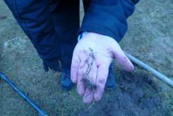 post-2838-0-77047200-1388925349_thumb.jp