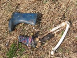 post-28412-0-78686900-1389718630_thumb.j