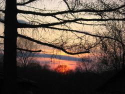 post-28774-0-23838500-1389971680_thumb.j