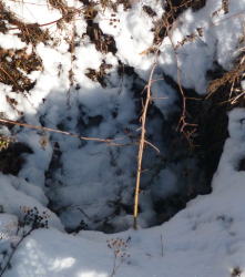 post-29656-0-74492400-1389691984_thumb.p