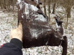 post-30012-0-08140800-1388928705_thumb.j