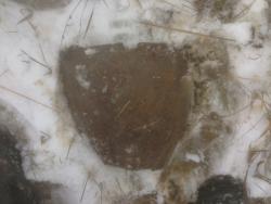 post-30012-0-09501400-1390063527_thumb.j