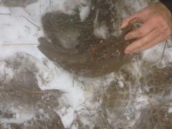 post-30012-0-37021900-1390063527_thumb.j