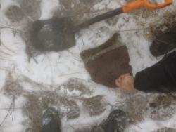 post-30012-0-81129700-1390063526_thumb.j