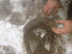 post-30012-0-81871700-1390063527_thumb.j