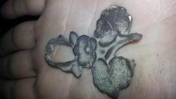 post-30106-0-64360400-1389277925_thumb.j