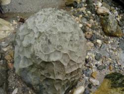 post-30232-0-05368100-1391185085_thumb.j