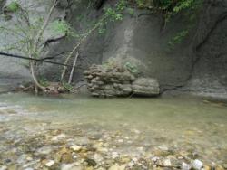 post-30232-0-79936300-1391185037_thumb.j