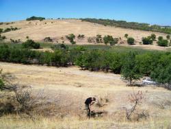 post-30270-0-01182200-1390583723_thumb.j