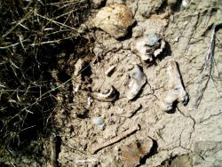 post-30270-0-01225400-1390479043_thumb.j