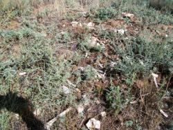 post-30270-0-01718900-1390478626_thumb.j