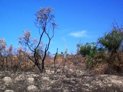 post-30270-0-04964200-1390398439_thumb.j