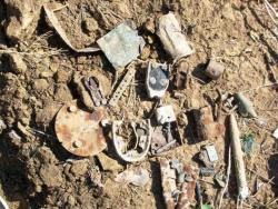 post-30270-0-06352100-1390639485_thumb.j