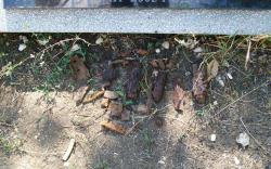 post-30270-0-08982000-1390400404_thumb.j