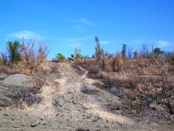 post-30270-0-10513100-1390398423_thumb.j