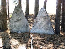 post-30270-0-11363900-1390837854_thumb.j