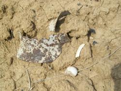 post-30270-0-11511100-1390478602_thumb.j