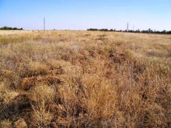 post-30270-0-15674600-1390583450_thumb.j