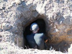 post-30270-0-18635300-1390583754_thumb.j