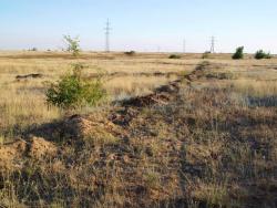 post-30270-0-18800100-1390639477_thumb.j